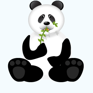 panda