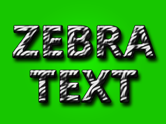 zebra text