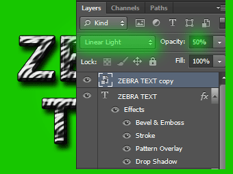 zebra text